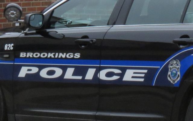 Brookings police investigate business burglaries